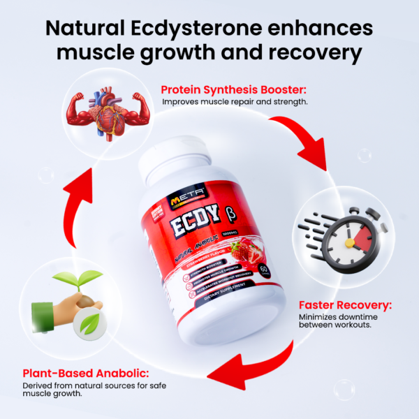 ECDY 1000mg - ZERO SUGAR 60' Gummies by META NUTRITION | Strength Booster | Muscle builder | Improves Recovery