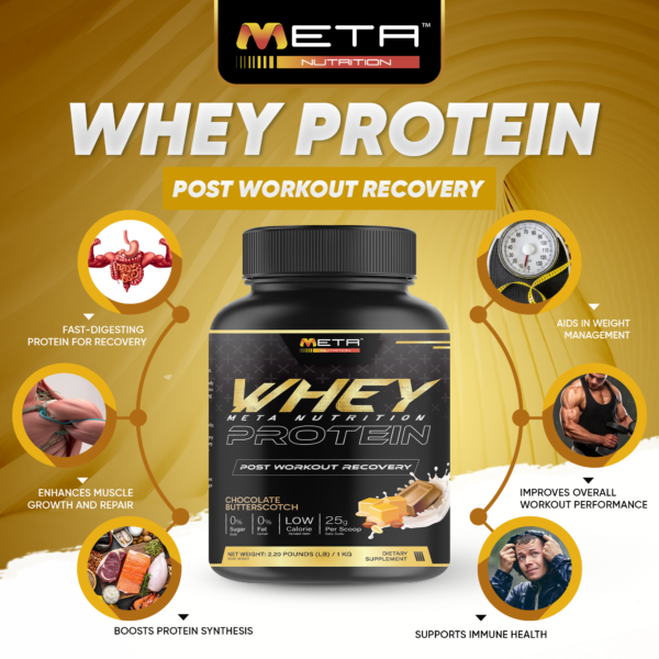 🔥 WHEY PROTEIN 25g, Zero Sugar by Meta Nutrition